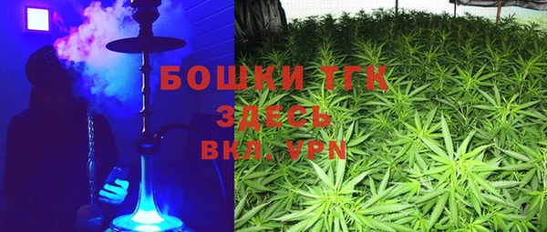 ECSTASY Лиски
