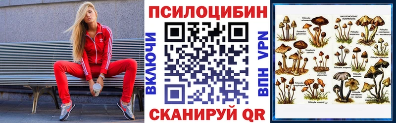 Купить  Краснозаводск  Псилоцибиновые грибы прущие грибы 